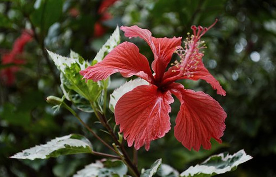 南京影視制作哪家好